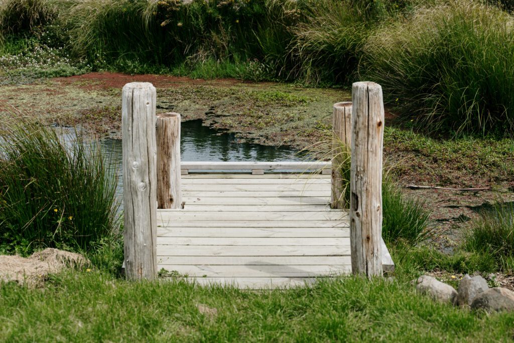 view of jetty into pond
